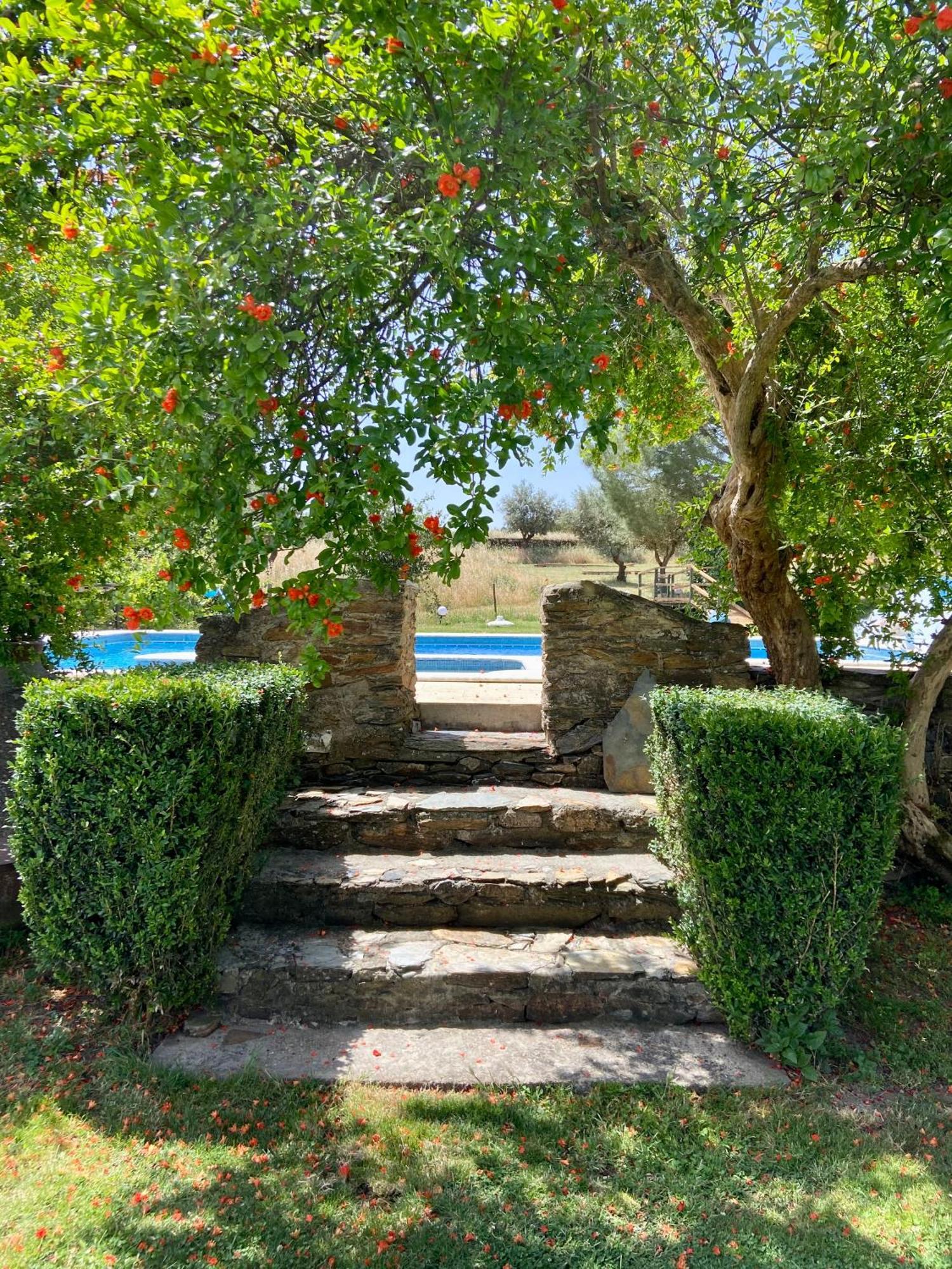 Pensjonat Quinta Alfaval Redondo Zewnętrze zdjęcie
