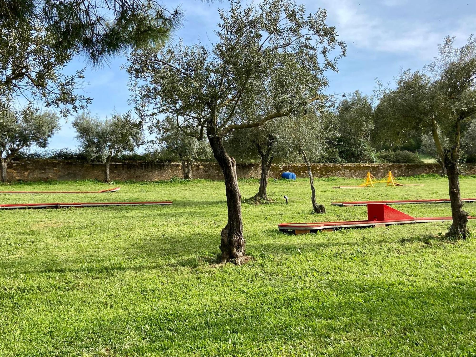 Pensjonat Quinta Alfaval Redondo Zewnętrze zdjęcie